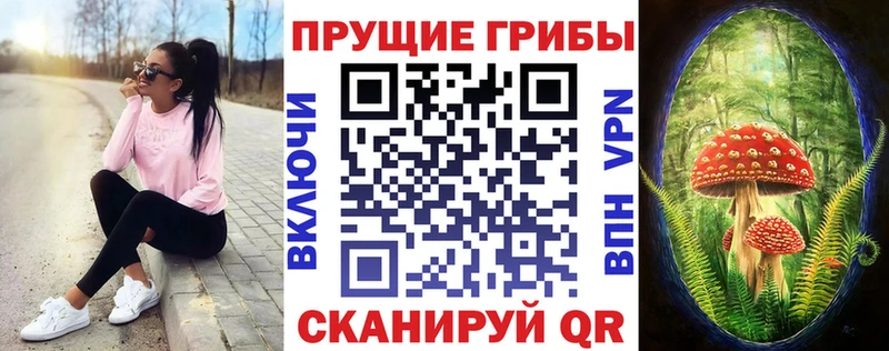 Псилоцибиновые грибы ЛСД  Глазов 